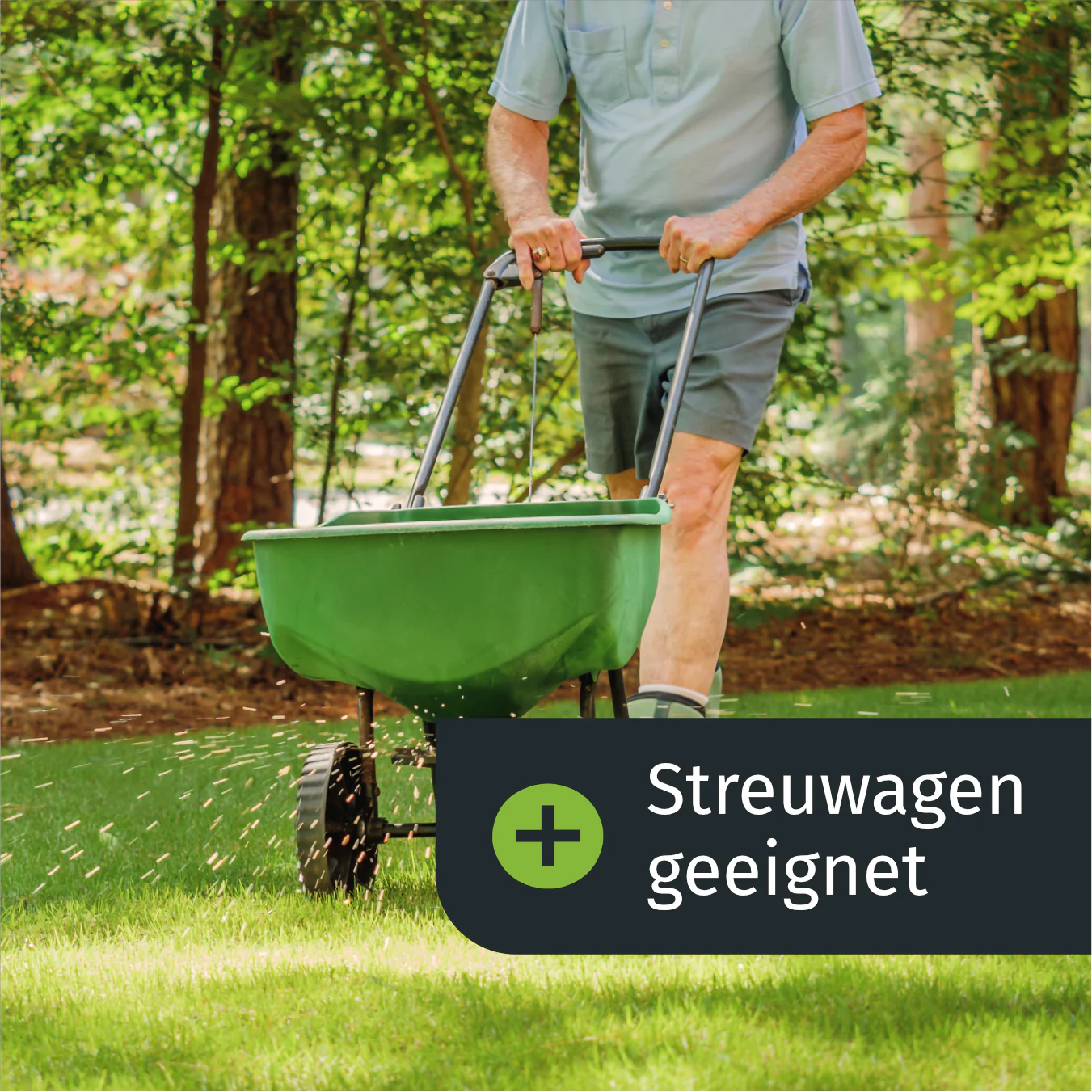 Vorschaubild 4