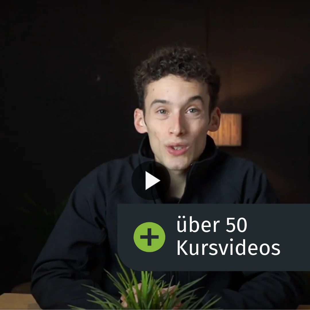 Vorschaubild 2